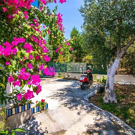 Goel Evi