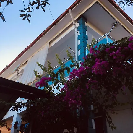Goel Evi *