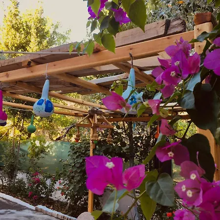 Goel Evi Hébergement de vacances